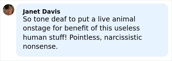 User comment criticizing Sabrina Carpenter&rsquo;s 2026 Grammys performance as tone deaf and narcissistic.