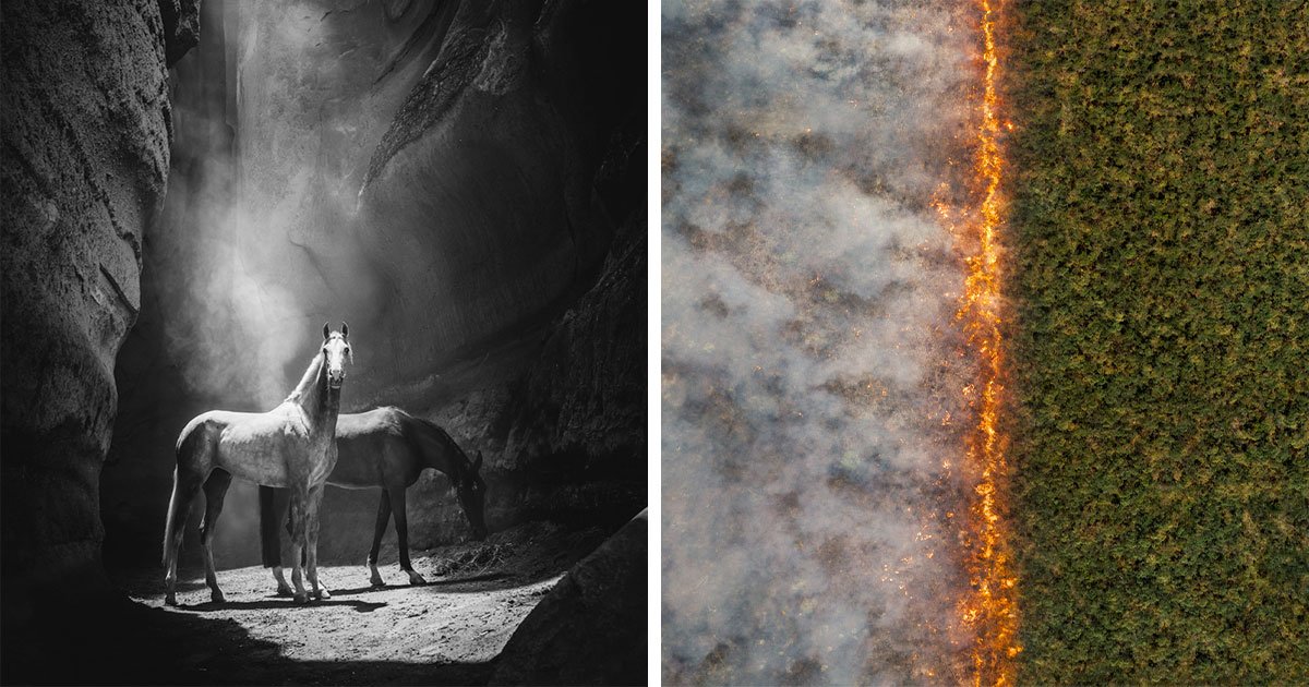 We Picked 69 Of The Best 2025 International Photography Awards Winners, And They’re Seriously Next-Level (69 Pics)