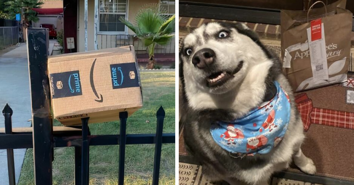 55 Of The Most Hilarious Delivery Confirmation Pics Drivers Sent Out To Customers