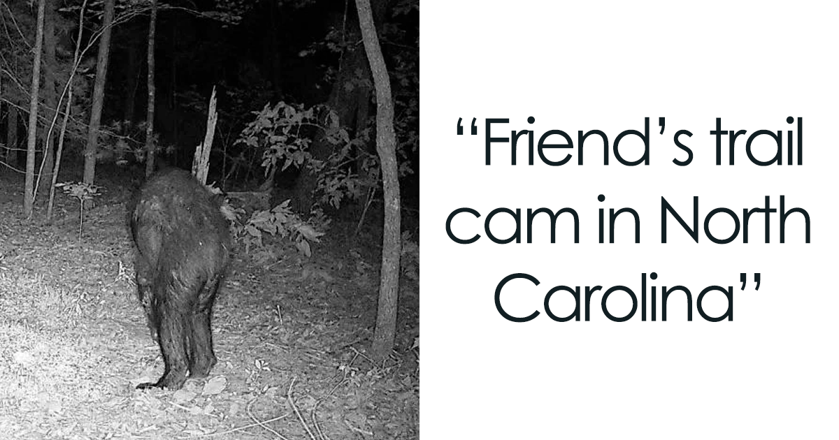 25 Creepy Trail Cam Pics That People Just Had To Share With The World