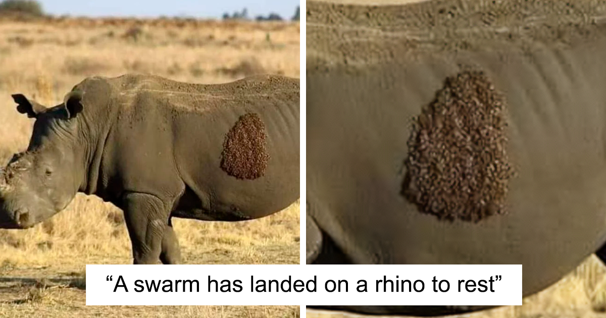 “Nature Is Freaking Lit”: 49 Pics To Prove That Nature Never Ceases To Amaze
