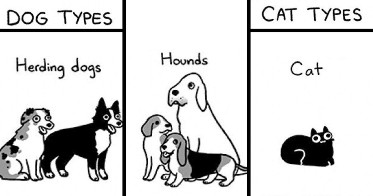 22 Funny Comics By Sarah Andersen Show The Quirky Differences Between Cats And Dogs