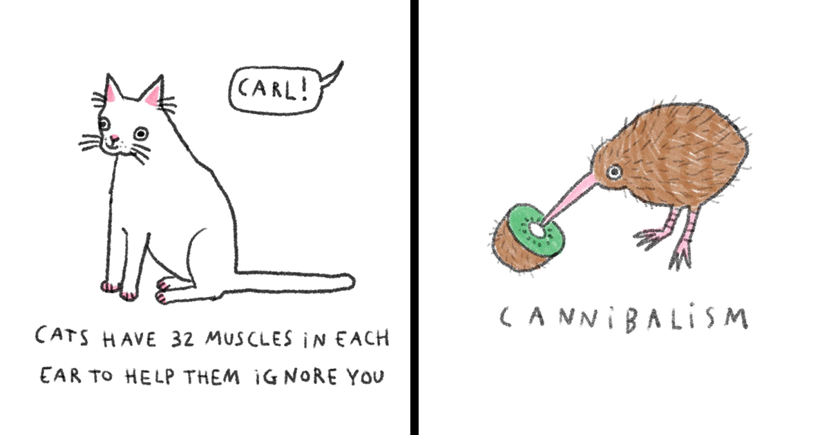 29 Delightfully Silly Animal Illustrations Drawn By This Tattoo Artist