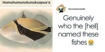 26 Animals With Names So Inappropriate, You Might Think The Scientists Were Just Messing With Us