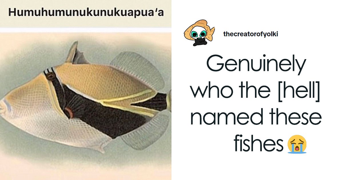 26 Animals With Names So Inappropriate, You Might Think The Scientists Were Just Messing With Us