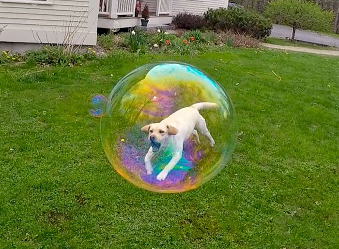 127 Perfectly Timed Pics That Will Make You Look Twice