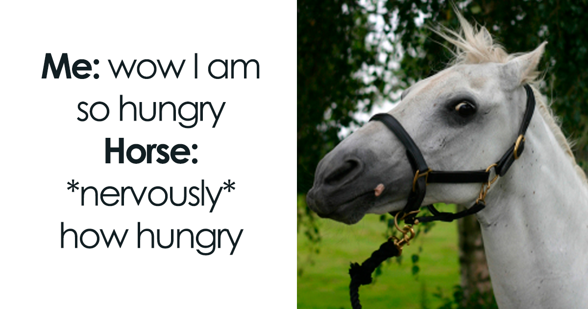 66 Funny Memes To Scroll Through When You’re Bored