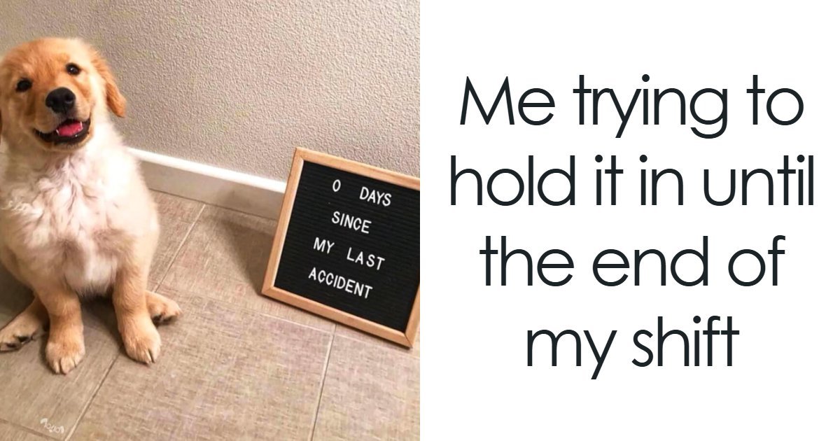 106 Times Dogs Were So Funny They Had To Be Turned Into Amazing Memes