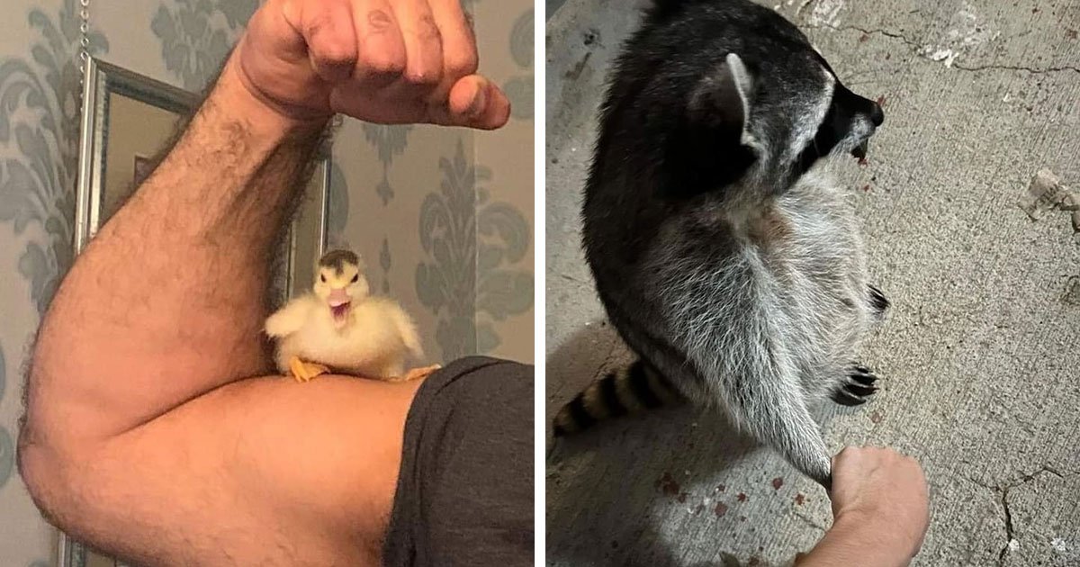 30 Times Humans And Animals Formed The Most Unexpectedly Beautiful Bonds (New Pics)