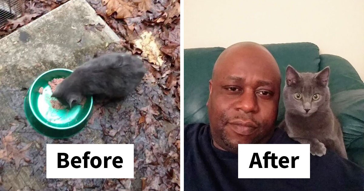 One Tiny Kitten Changed This Man’s Life, And Now He Rescues Animals Full-Time