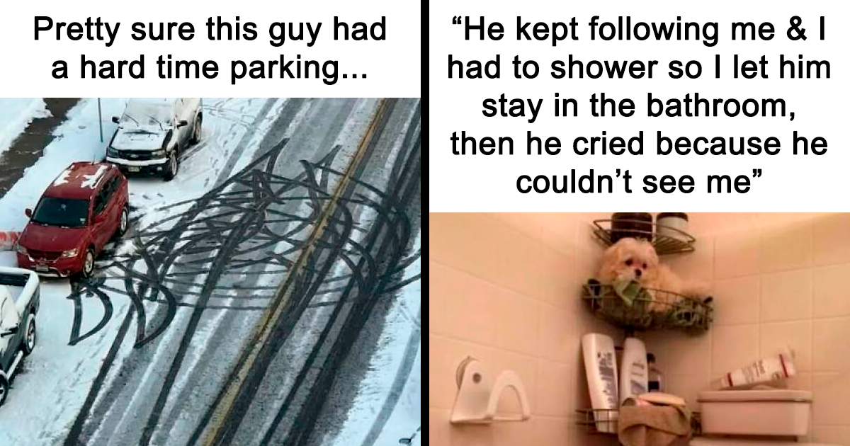 If Everything Is Annoying You Right Now, These 50 Memes Might Help Lighten Your Mood