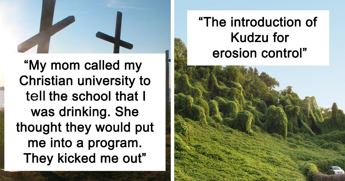 “The Road To H**l Is Paved With Good Intentions”: 30 Times People Wanted Nothing But Good Yet It All Ended Badly, As Told In This Online Group