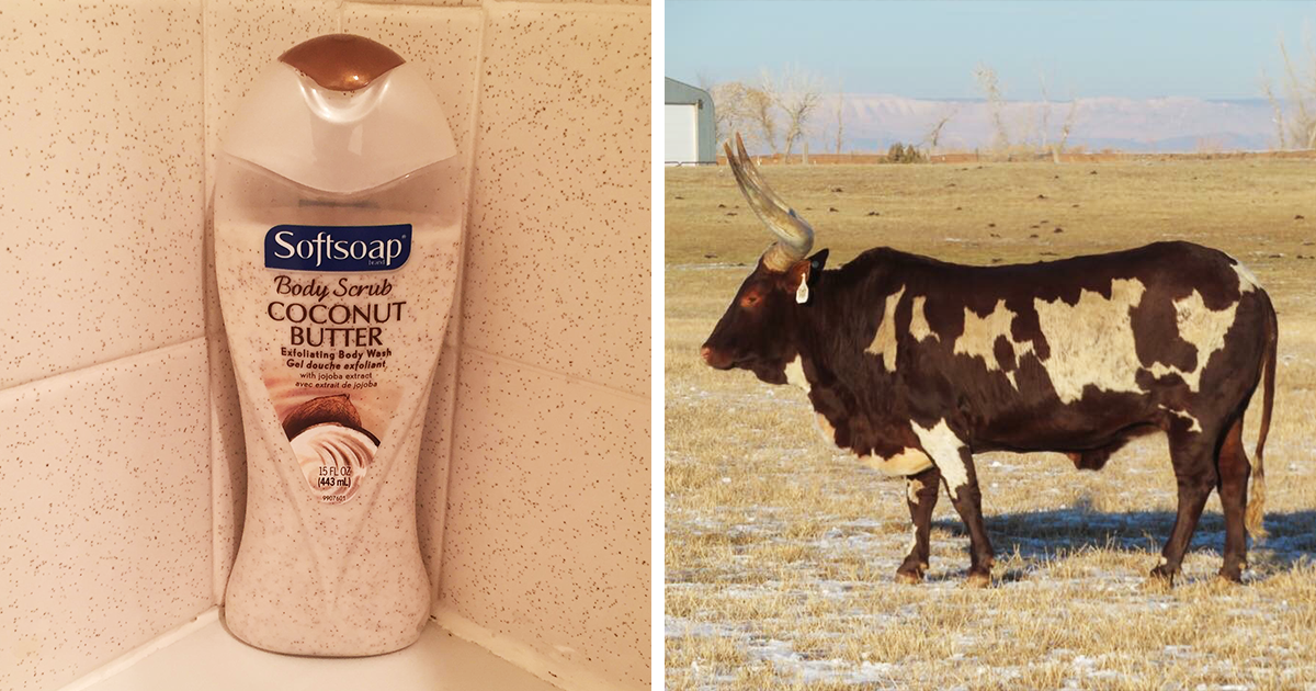 31 Times Things Matched Their Surroundings Too Well