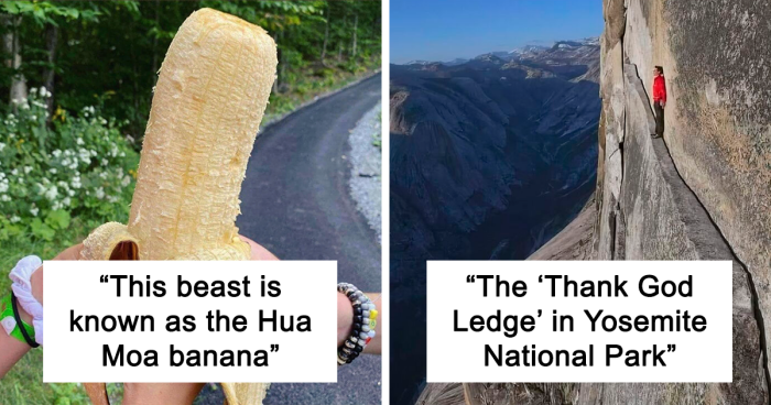 33 Times People Saw The Coolest Things And Just Had To Share On This Online Community