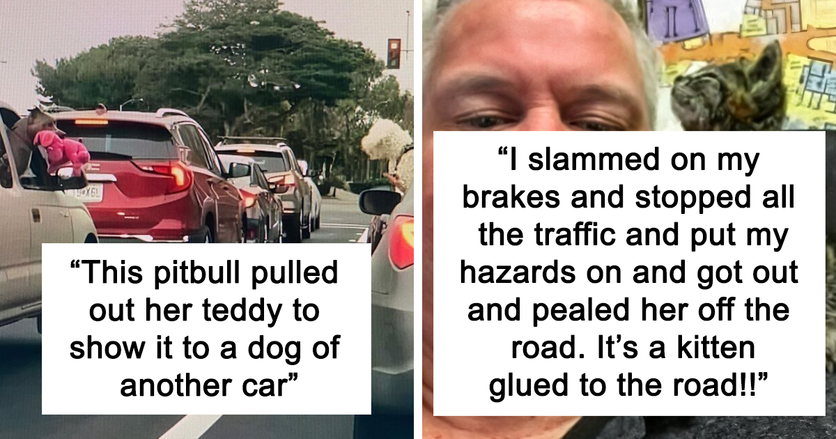 45 Uplifting Posts That Prove We Don’t Deserve Animals, As Shared On This FB Page