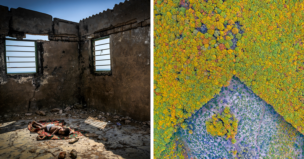 The Winners Of “The Environmental Photographer Of The Year 2021” Have Been Announced (25 Pics)