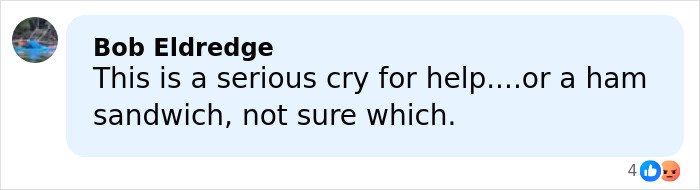 Comment by Bob Eldredge humorously questioning if a statement is a serious cry for help or about a ham sandwich.