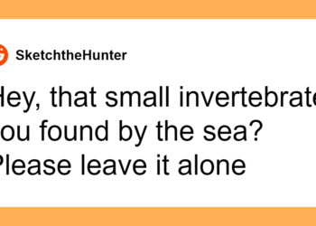 A Lot Of People Don’t Realize How Dangerous These 41 Things Are