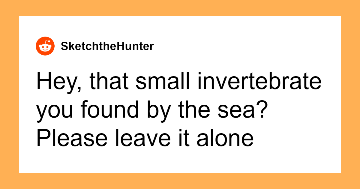 A Lot Of People Don’t Realize How Dangerous These 41 Things Are